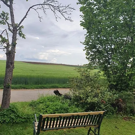 公寓 Im Schwarzwaldhaus *