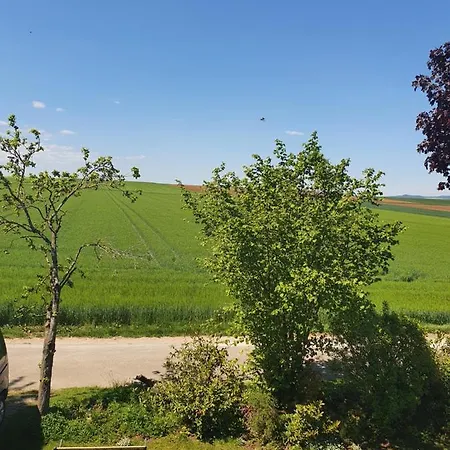 Im Schwarzwaldhaus 公寓 *