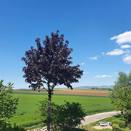 Im Schwarzwaldhaus