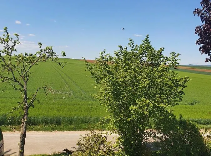 Im Schwarzwaldhaus 公寓 *