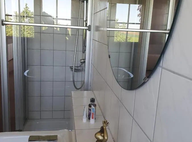 Im Schwarzwaldhaus 公寓 Behla