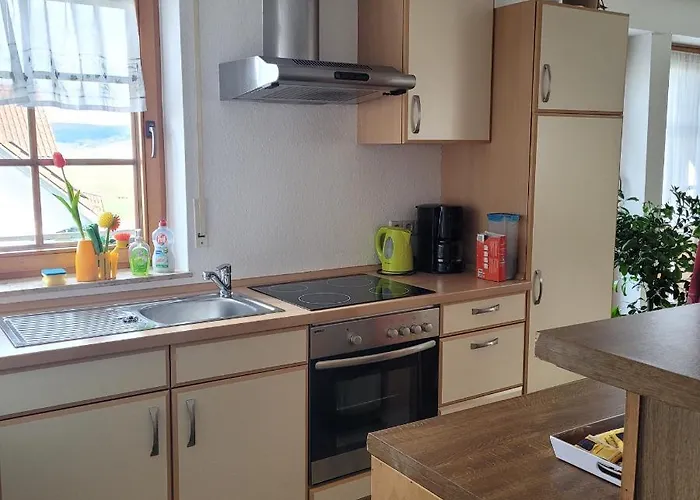 公寓 Im Schwarzwaldhaus Behla