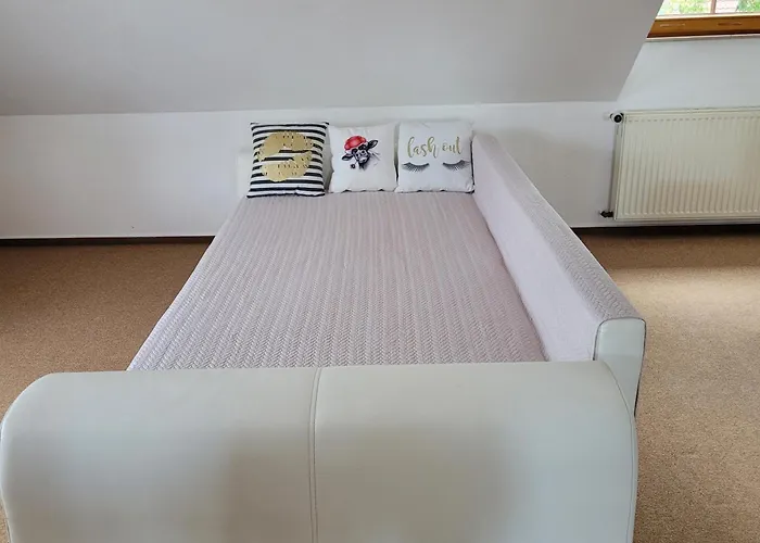 Im Schwarzwaldhaus 公寓 *